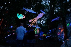 Festival "Sous les étoiles" 2015 à La Popine de Rillé 86500 Jouhet.