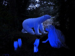 Festival "Sous les étoiles" 2015 à La Popine, Rillé 86500 Jouhet du 07 au 09 août 2015 - Polisto - Photo : Léon Gromit