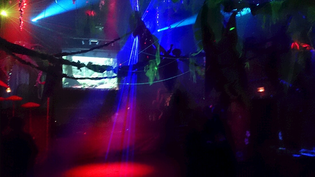 Jungle Party - Polisto 2015