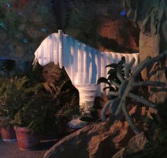 Jungle Party - Polisto 2015
