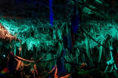 Jungle Party - Polisto 2015