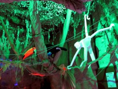 Jungle Party - Polisto 2015