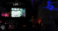 Jungle Party - Polisto 2015