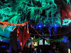 Jungle Party - Polisto 2015