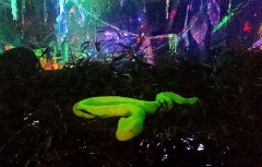 Jungle Party - Polisto 2015