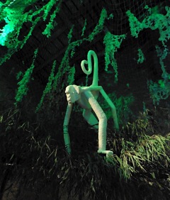 Jungle Party - Polisto 2015