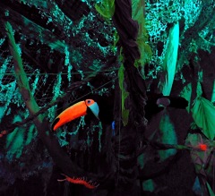 Jungle Party - Polisto 2015