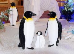Penguins Family - Polisto 2014