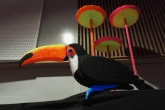 Toucan - Polisto 2015