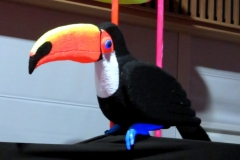 Toucan au festival Abracadaboum 2016 - Saint-Georges-lès-Baillargeaux (86).