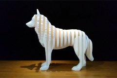 Canis Lupus Fabulosus - Polisto 2018
