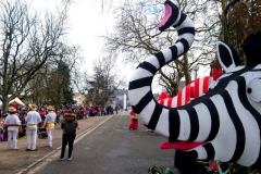 Carnaval de Persac (86) le 30 mars 2018 / Polisto.