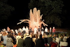 Spectacle L'Arbre - Compagnie Tusitala - Saulgé (86) - 2022