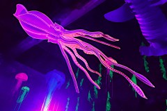 Sculpture de calamar géant - Polisto - Festival Les Impro'blables 2019 - CPA - Lathus-Saint-Rémy (86)