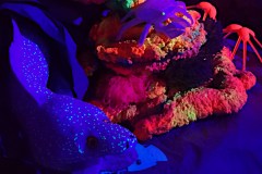 Sculpture de récif corallien - (détails) - Polisto - Festival Les Impro'blables 2019 - CPA - Lathus-Saint-Rémy (86)