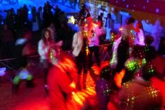 Polar Party - Polisto 2014