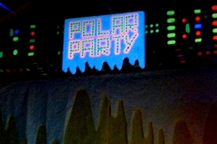 Polar Party - Polisto 2014