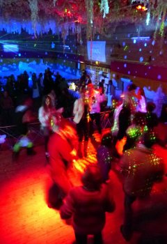 Polar Party - Polisto 2014