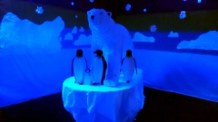 Polar Party - Polisto 2014