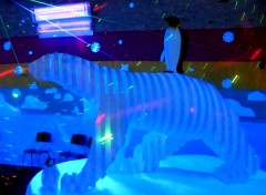 Polar Party - Polisto 2014