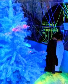 Polar Party - Polisto 2014