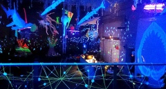 Subaquatic Party - Polisto 2014