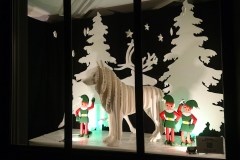 Vitrine de Noël 2021 - Châtellerault (86)