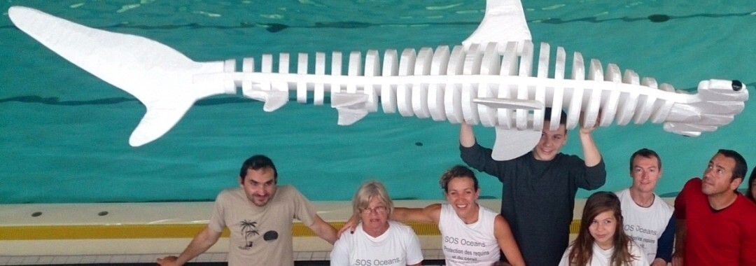 Innocent Shark, mascotte du Jaggathon 2015.