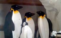 Penguins Family - Polisto 2014