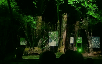 Vidéoprojection pour le Dîner Spectacle "Entrer en forêt" à Haims (86)