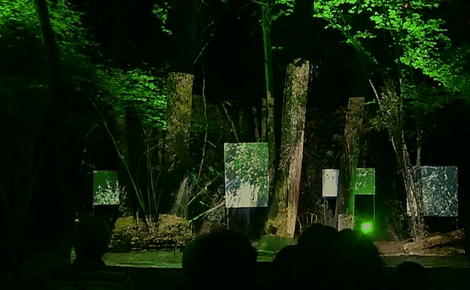 Vidéoprojection pour le Dîner Spectacle "Entrer en forêt" à Haims (86)