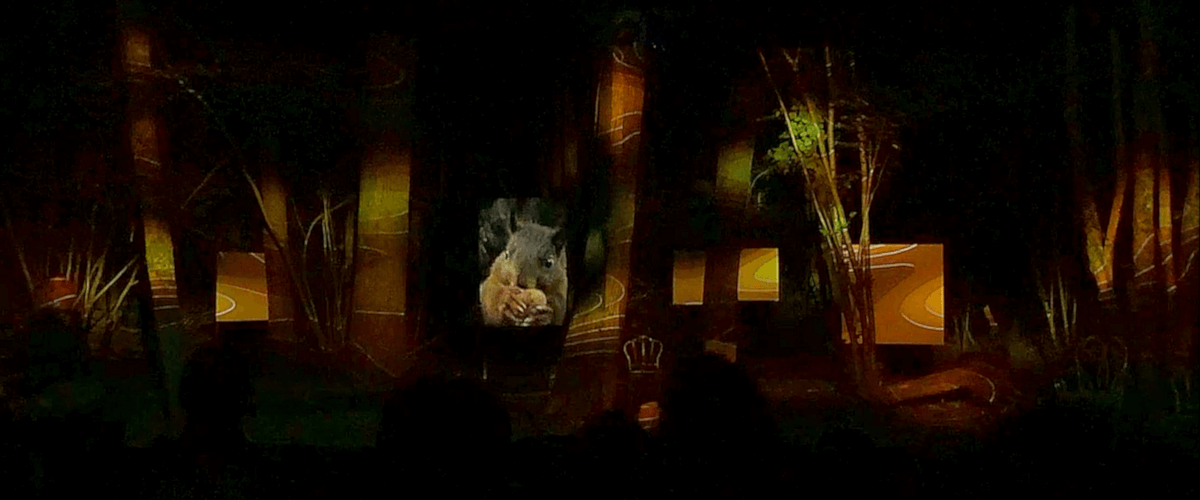 Vidéoprojection pour le Dîner Spectacle "Entrer en forêt" à Haims (86)