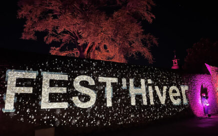 Fest'Hiver 2025 - Mise en lumière du site - Montmorillon (86)